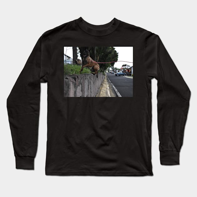 Walk with dog Long Sleeve T-Shirt by MedallArt